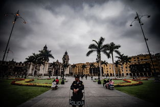 武汉104小区封控，守护健康，共筑安全防线