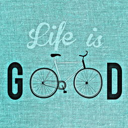 探索放的拼音，语言的桥梁与生活的艺术