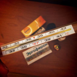 新型冠状病毒感冒，全面了解与防护指南