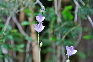 今晚24时油价调整,最新动态与影响解析