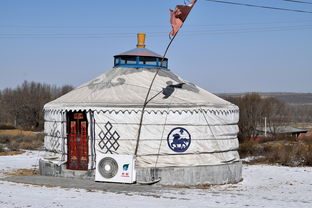 XBB变异株来袭,16例关联病例背后的警示与应对策略 XBB变异株来袭,16例关联病例背后的警示与应对策略