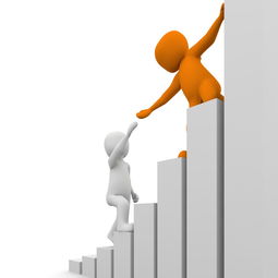 2021年最新限号政策解读,出行指南与应对策略 2021年最新限号政策解读,出行指南与应对策略