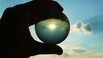 深入了解,COVID-19的全名及其对全球的影响 深入了解,COVID-19的全名及其对全球的影响