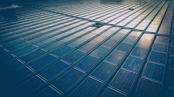 上海疫情新动态，3例境外输入病例及1例关联病例的应对与反思