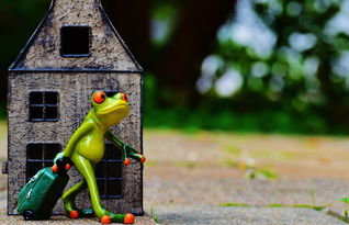 五一假期,放松与充电的黄金时刻 五一假期,放松与充电的黄金时刻