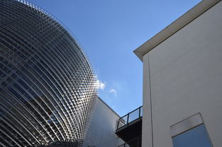 探索职业新天地,职业测评免费版,你的职业规划助手