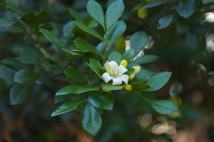 运城疫情最新动态，数据解读与防控措施全解析