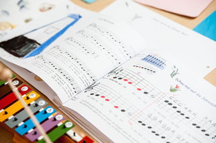 北京教育紧急响应,部分中小学发布紧急通知背后的深层原因与应对措施 北京教育紧急响应,部分中小学发布紧急通知背后的深层原因与应对措施