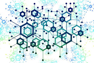 重庆疫情警报,一起病例引发的社区传播链分析