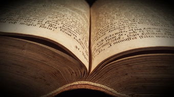 泉州的抗疫故事，团结、坚韧与希望