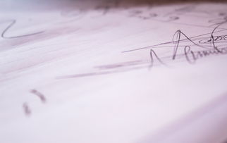 打造个性签名，让你的名字设计脱颖而出