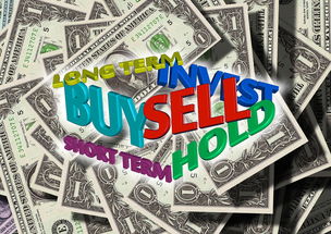 春节高速免费通行政策详解,时间、规则与出行建议 春节高速免费通行政策详解,时间、规则与出行建议