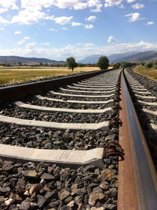 探索姓名配对测缘分,科学与趣味的结合 探索姓名配对测缘分,科学与趣味的结合