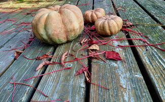 天津新增本土阳性感染者，疫情动态与防控策略解析