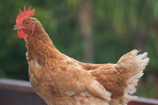 浙江疫情新动态，本土确诊病例增加3例，我们如何有效应对？