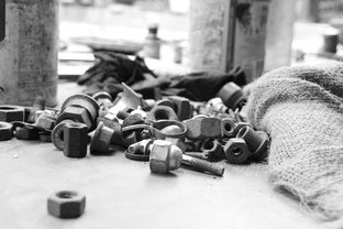 面对新冠,理解、应对与恢复 面对新冠,理解、应对与恢复