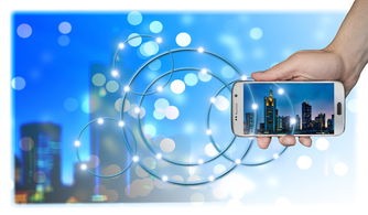 探索名字的力量，免费查询最准的名字测试网站指南