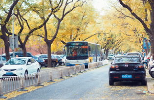 北京最严格流调，疫情防线的升级与挑战