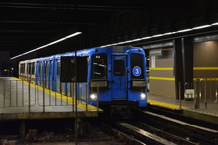 天津疫情新动态,新增80例本土确诊背后的防控策略与市民应对指南