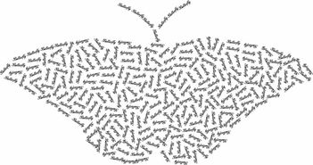 探索符号艺术，网名中的花样符号与翅膀元素