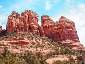 河北疫情新动态，新增51例本土确诊的深度解析