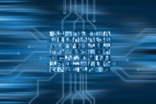 北京解封后感染人数，疫情控制与社会适应的平衡