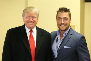 河南疫情新动态，24例本土确诊背后的警示与行动