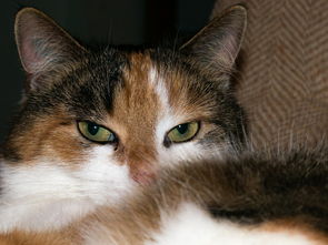 潍坊疫情新动态,新增本土确诊2例,无症状6例,我们如何保持警惕? 潍坊疫情新动态,新增本土确诊2例,无症状6例,我们如何保持警惕?