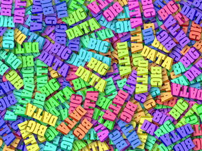 探索全国名字查询系统，揭秘姓名背后的大数据世界