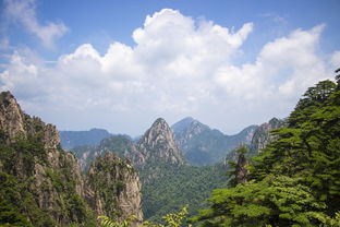 安徽疫情新动态,本土无症状感染者增至4例,防控措施升级