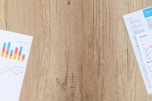 工商企业注册查询网，企业信息查询的利器