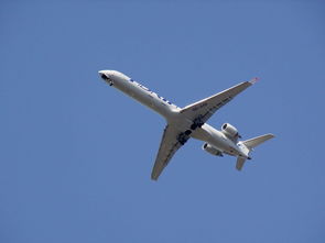 疫情新动态,31省新增确诊36例,防控措施与未来展望