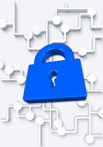 北京顺义四地环境检出核酸阳性,疫情追踪与防控新挑战 北京顺义四地环境检出核酸阳性,疫情追踪与防控新挑战