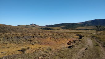 广东疫情新动态,本土病例增加4例,防控措施升级与公众应对指南