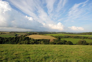 梅雨季节,大自然的湿意与生活的智慧