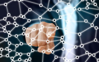 黄可,探索色彩的无限可能