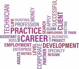 探索芳的拼音，汉字发音的艺术与实践