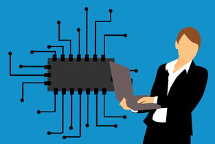 免费自动取英文名,个性化、专业、一键生成