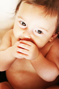 探索BabyNames,英文取名的艺术与科学