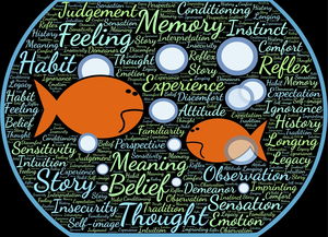 2023年运势大揭秘,星座、生肖与个人成长指南