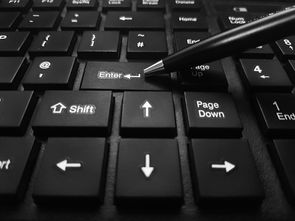 探索个性化的英文名字,在线生成的艺术与科学