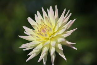 寓意深远,精选寓意好的公司名字推荐 寓意深远,精选寓意好的公司名字推荐