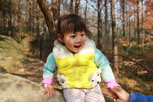 新华字典在线查字手写，数字化时代的汉字学习新体验