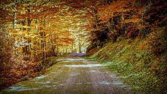 独树一帜,打造高端大气且独一无二的公司名 独树一帜,打造高端大气且独一无二的公司名