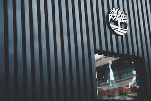 打造独特品牌,建筑工程公司取名的艺术与科学 打造独特品牌,建筑工程公司取名的艺术与科学