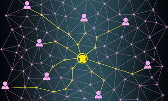 探索绳的拼音,学习与应用 探索绳的拼音,学习与应用