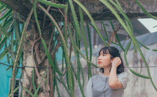 诗意栖居,女孩名字中的内涵与雅致 诗意栖居,女孩名字中的内涵与雅致