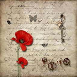 字里行间,寓意深远,为男孩子挑选文雅名字的艺术 字里行间,寓意深远,为男孩子挑选文雅名字的艺术