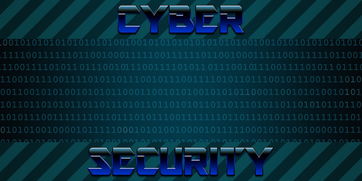 深入探索重名查询，技术、应用与隐私保护