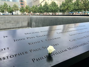 探索汉语之美，如何巧妙地使用抹字组词